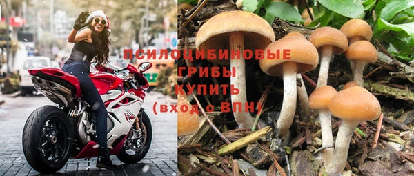 ПСИЛОЦИБИНОВЫЕ ГРИБЫ Балахна