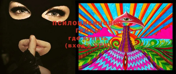 ПСИЛОЦИБИНОВЫЕ ГРИБЫ Балахна