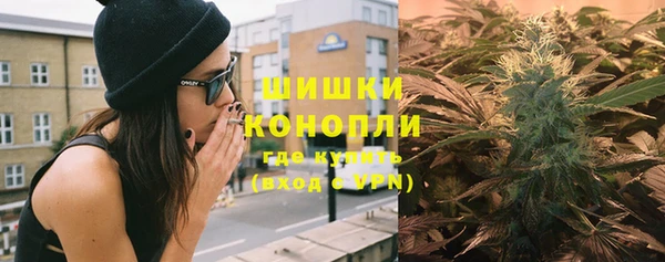 ПСИЛОЦИБИНОВЫЕ ГРИБЫ Балахна