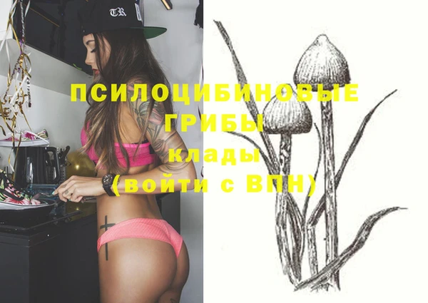 ПСИЛОЦИБИНОВЫЕ ГРИБЫ Балахна